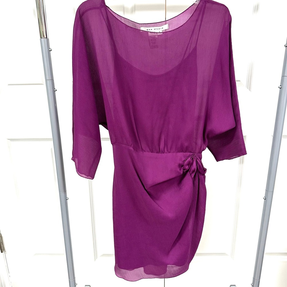 Sheer Purple Dress